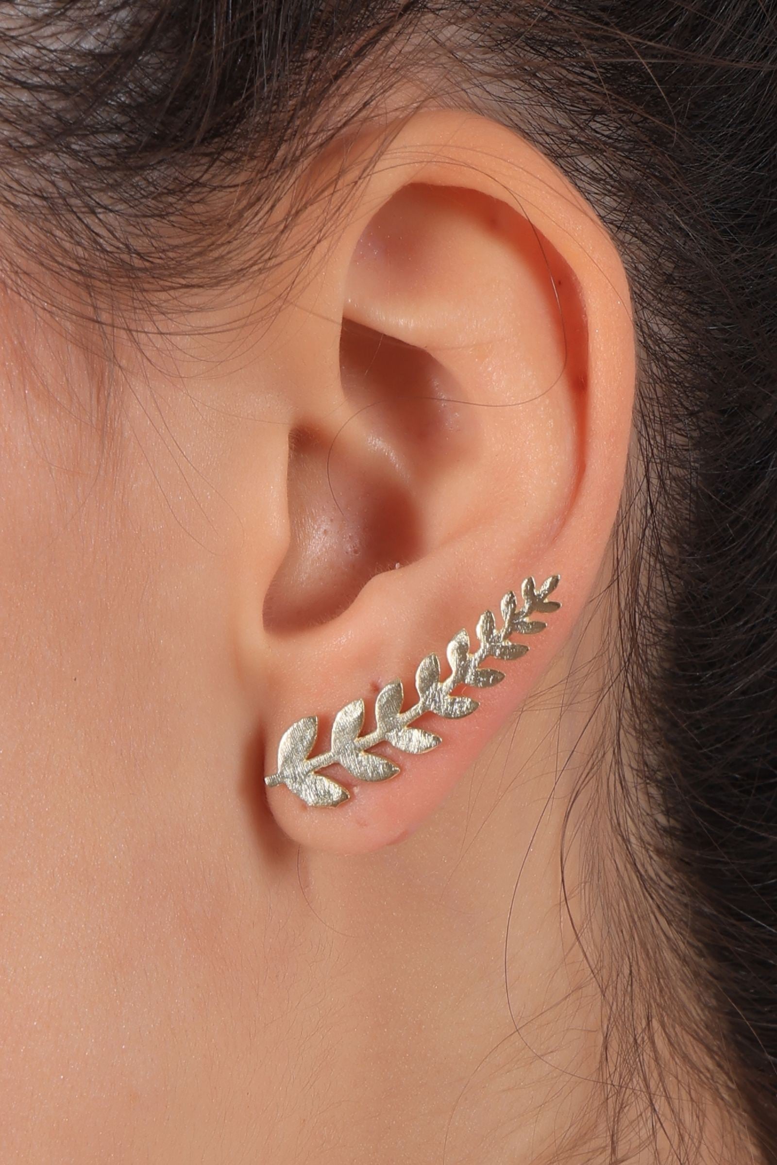 Gold Leaf Climber Stud Earrings