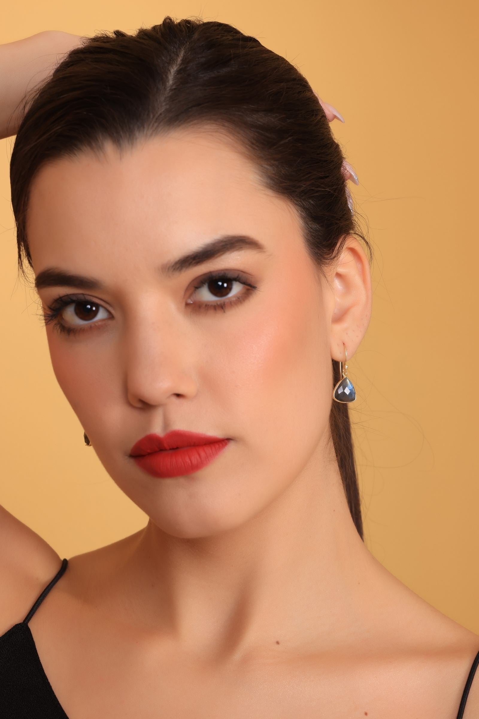 Labradorite Dangler Earrings