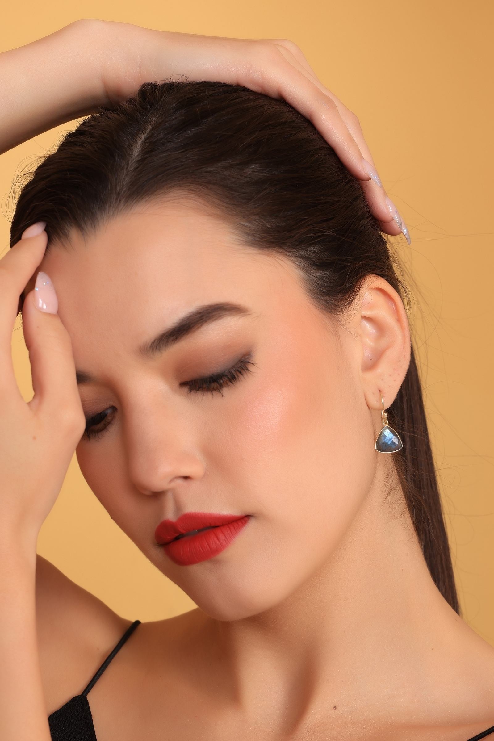 Labradorite Dangler Earrings